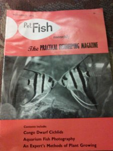 A stack of magazines from 1969-1970. A British fishkeeping magazine that is still going today! And i named my blog before I ever heard of them...so there!